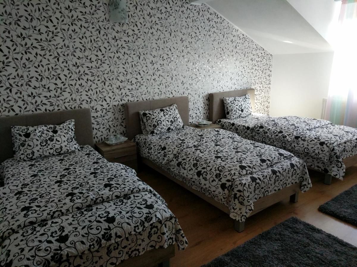 Гостевой дом Pensiunea Vladut Timisoara Тимишоара