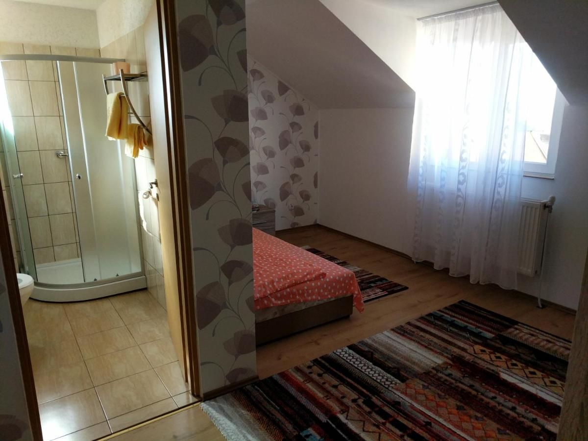 Гостевой дом Pensiunea Vladut Timisoara Тимишоара-16