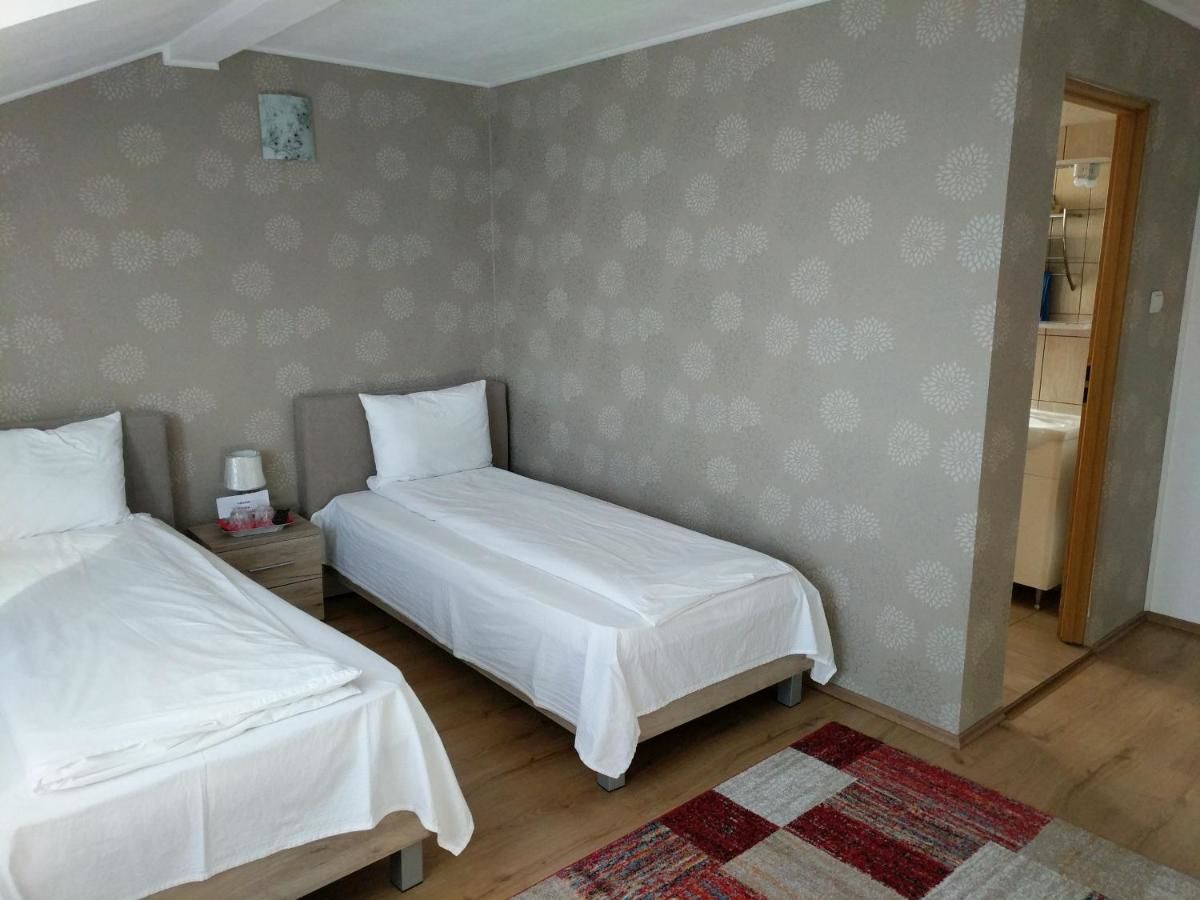 Гостевой дом Pensiunea Vladut Timisoara Тимишоара