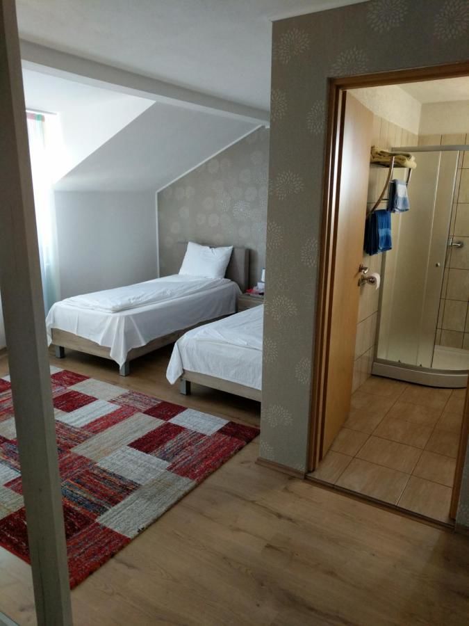 Гостевой дом Pensiunea Vladut Timisoara Тимишоара