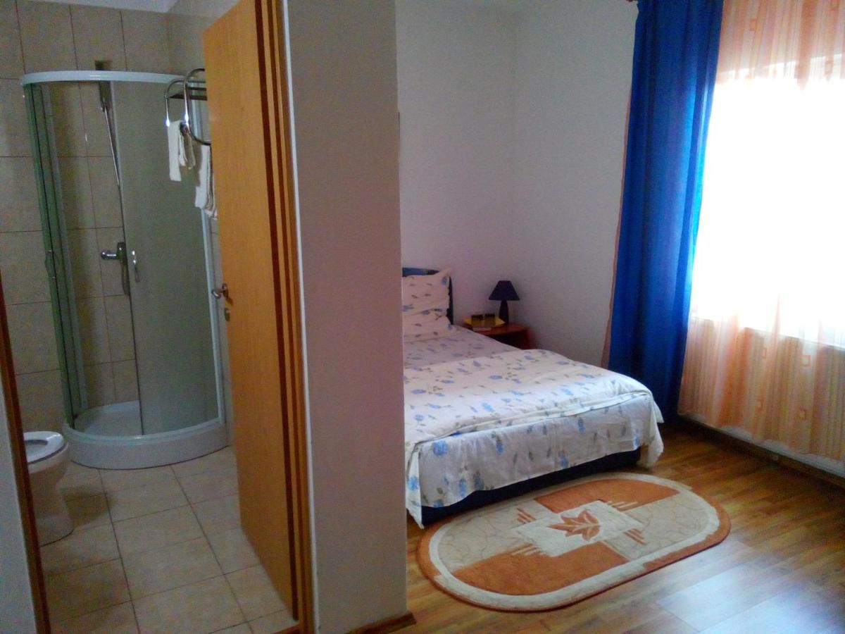 Гостевой дом Pensiunea Vladut Timisoara Тимишоара-33