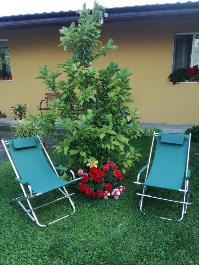 Гостевой дом Pensiunea Vladut Timisoara Тимишоара-36