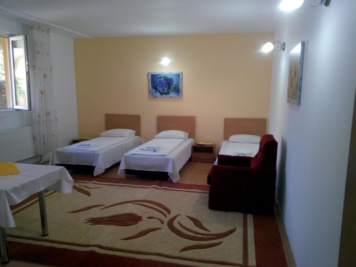 Гостевой дом Pensiunea Vladut Timisoara Тимишоара