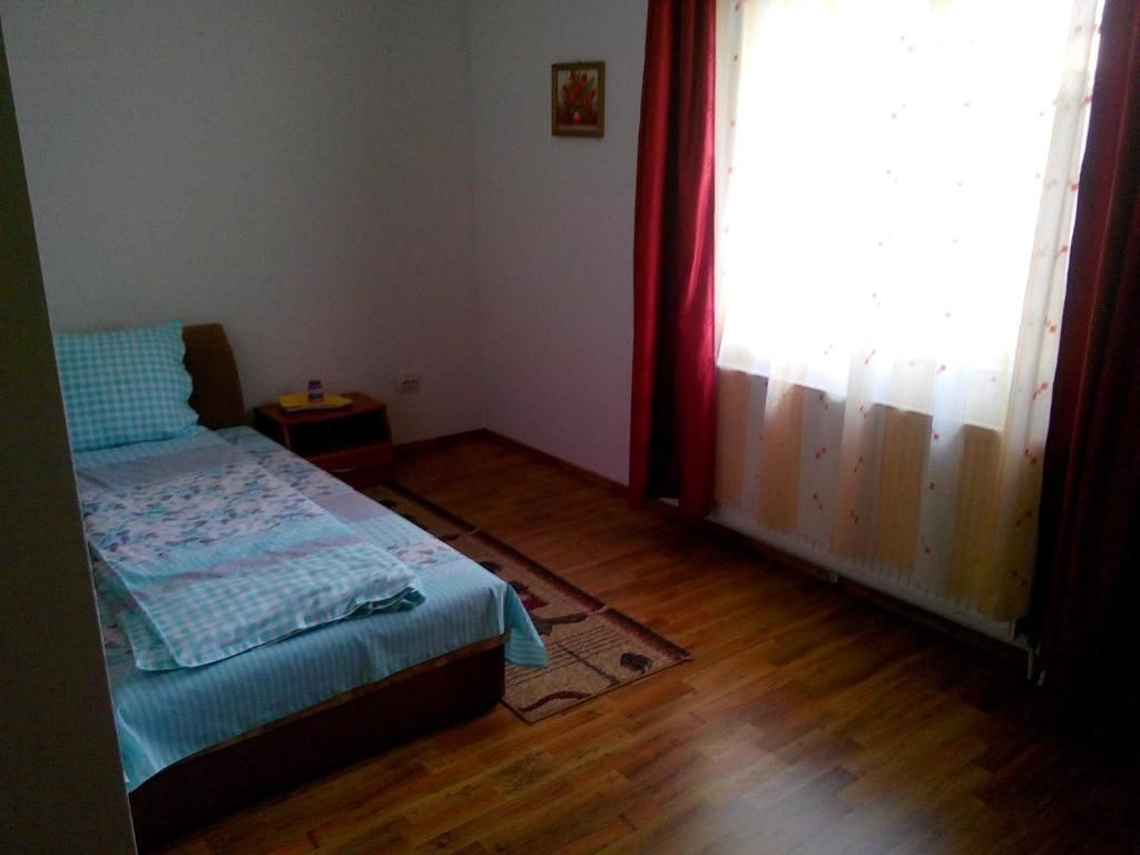 Гостевой дом Pensiunea Vladut Timisoara Тимишоара-42