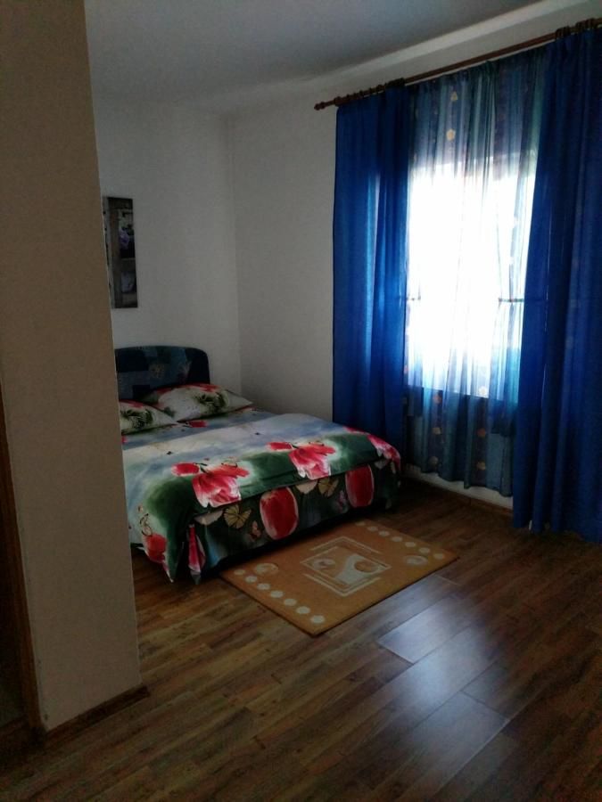 Гостевой дом Pensiunea Vladut Timisoara Тимишоара-7