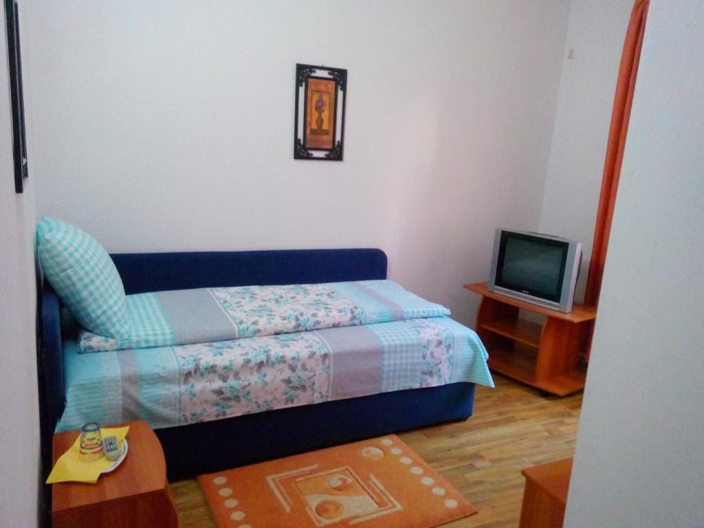 Гостевой дом Pensiunea Vladut Timisoara Тимишоара-43