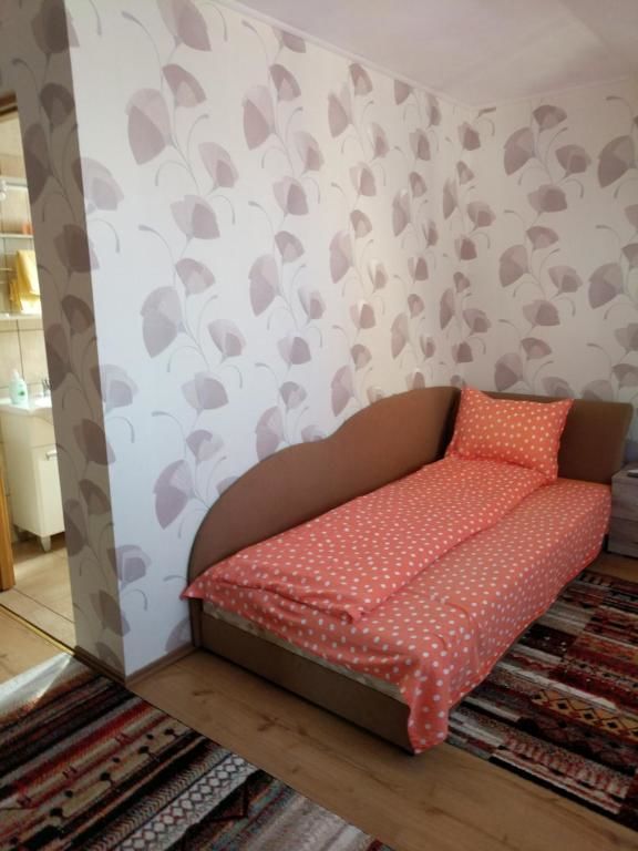 Гостевой дом Pensiunea Vladut Timisoara Тимишоара-46