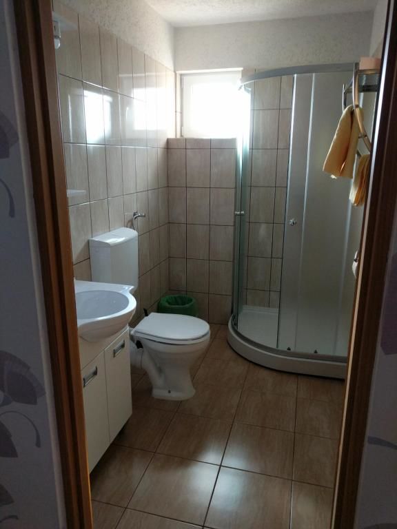 Гостевой дом Pensiunea Vladut Timisoara Тимишоара-47