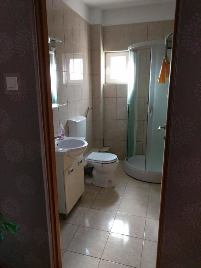 Гостевой дом Pensiunea Vladut Timisoara Тимишоара-9