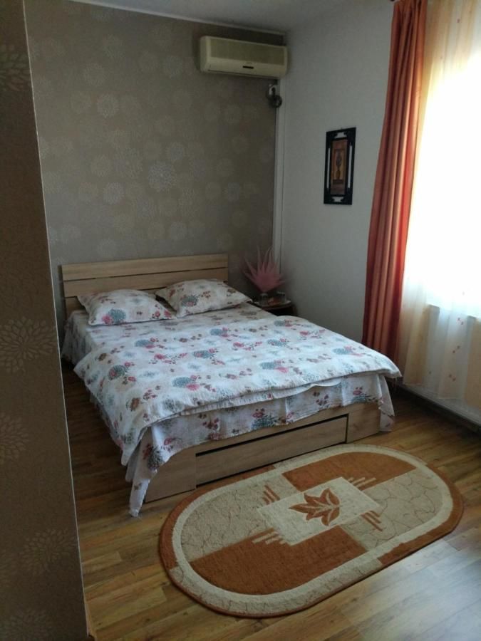 Гостевой дом Pensiunea Vladut Timisoara Тимишоара-10