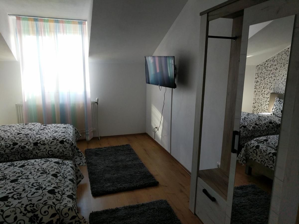 Гостевой дом Pensiunea Vladut Timisoara Тимишоара